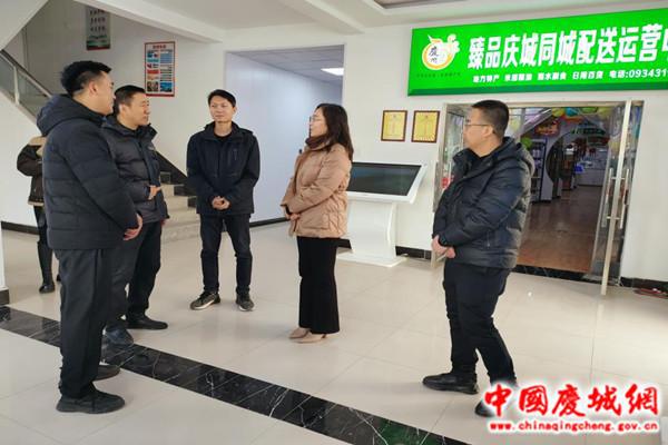 庆阳市商务局刘丽一行审核验收庆城县新业态电商企业培育项目