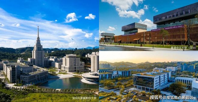 龙岗大运美域蓝湾即将开盘入市！售楼处火爆深圳！备案价-户型图(图6)